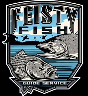 Feisty Fish Logo